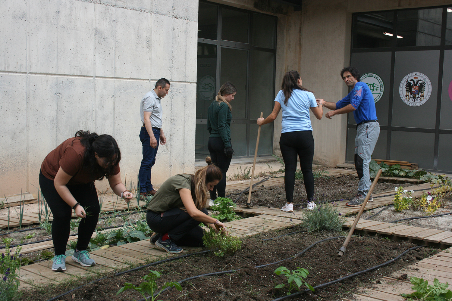 HUERTO Y COMPOSTERA EDUCATIVA EN LA FACULTAD DE CIENCIAS DE LA EDUCACIÓN