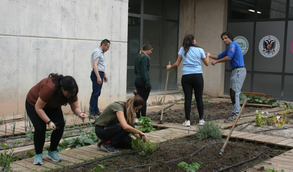 HUERTO Y COMPOSTERA EDUCATIVA EN LA FACULTAD DE CIENCIAS DE LA EDUCACIÓN